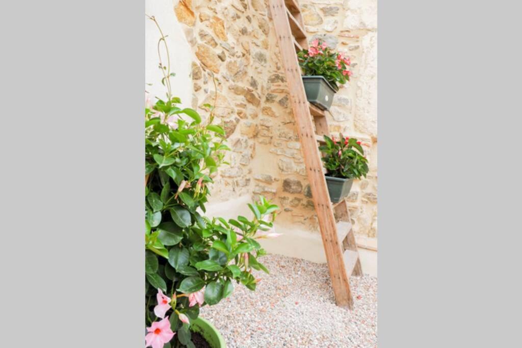 La Porte Du Midi Mailhac 외부 사진